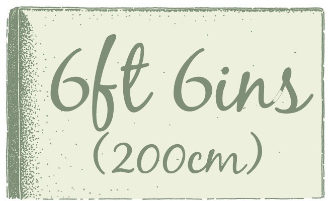 6ft 6ins (200cm)