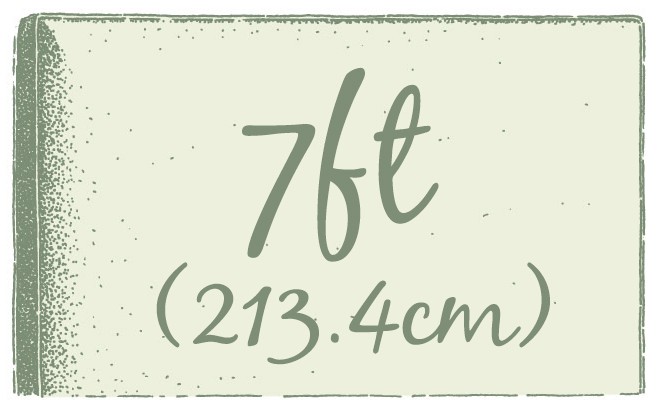 7ft (213.4cm)